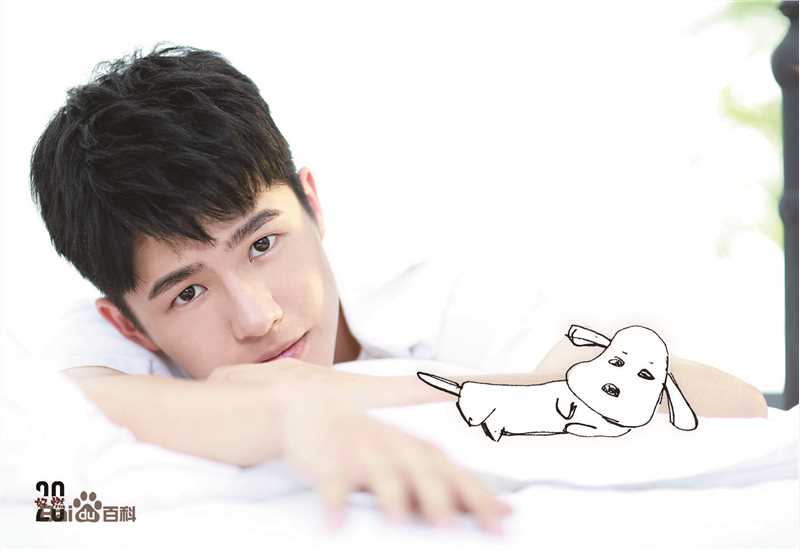 精选刘昊然在《我是你的眼》导盲犬助盲计划中的图册