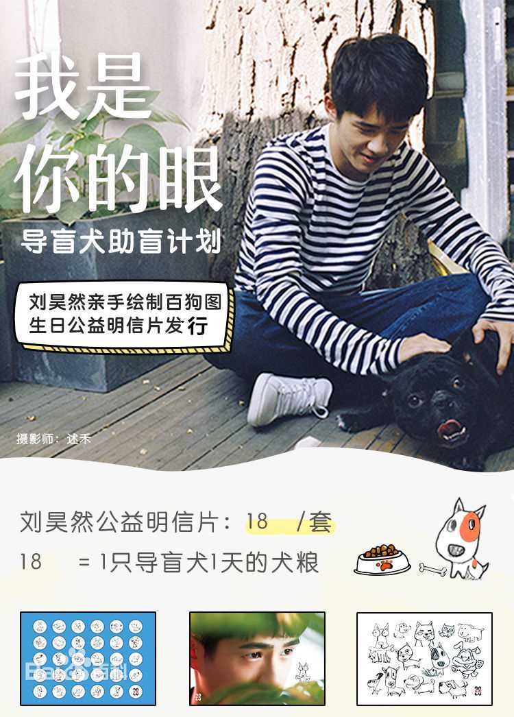 精选刘昊然在《我是你的眼》导盲犬助盲计划中的图册