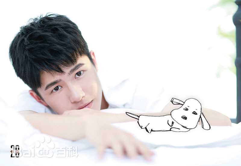 精选刘昊然在《我是你的眼》导盲犬助盲计划中的图册