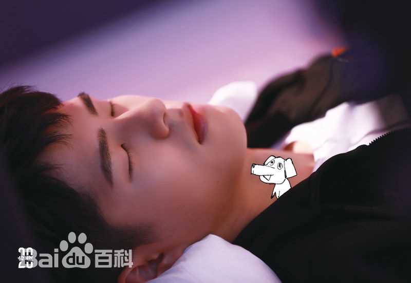 精选刘昊然在《我是你的眼》导盲犬助盲计划中的图册