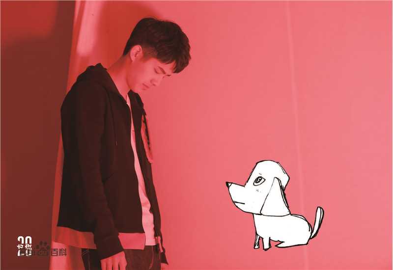 精选刘昊然在《我是你的眼》导盲犬助盲计划中的图册