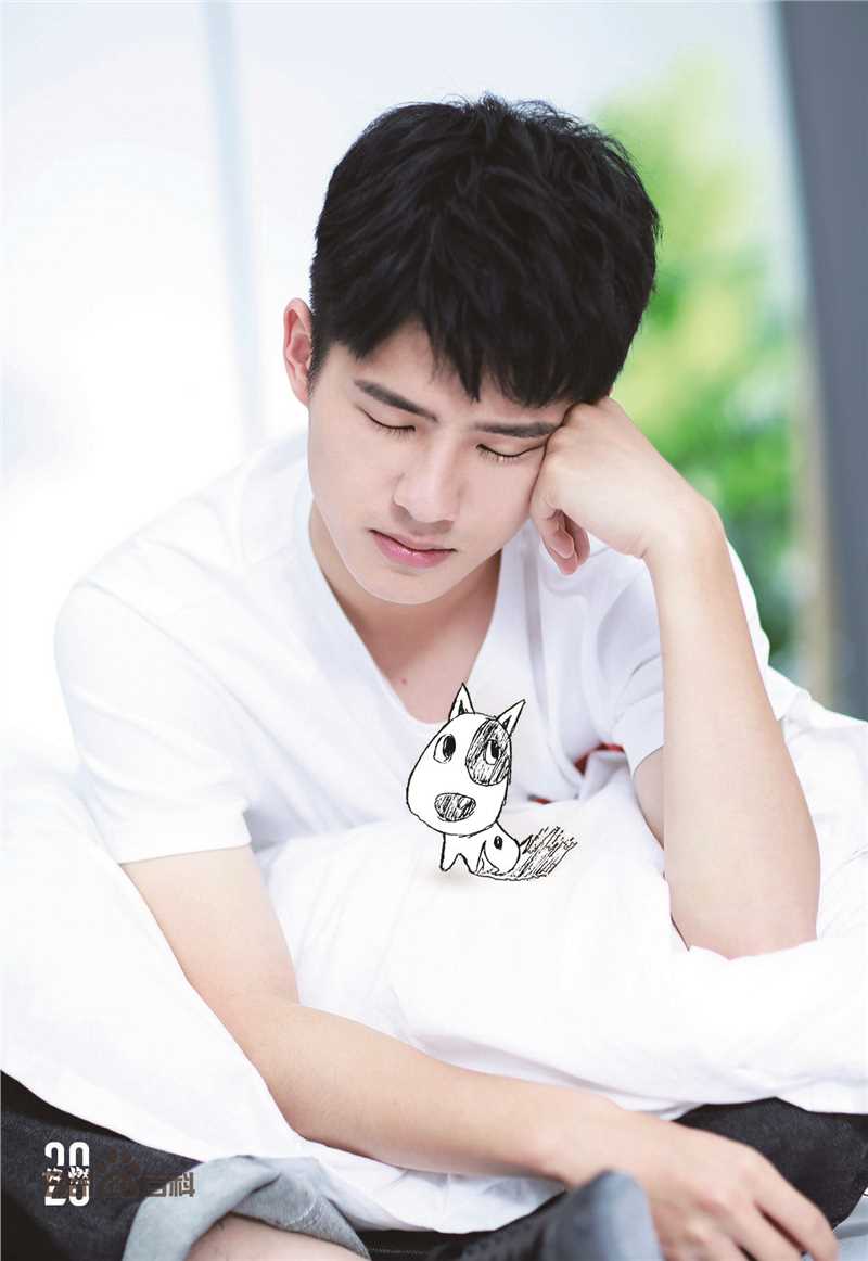 精选刘昊然在《我是你的眼》导盲犬助盲计划中的图册