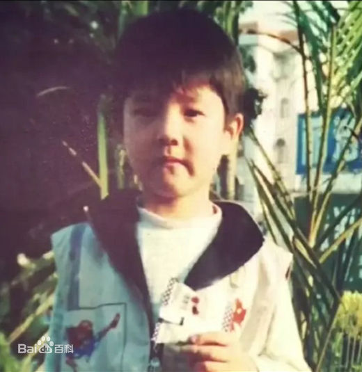 刘昊然-童年照性感图片图集