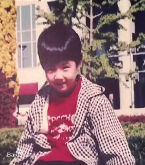 刘昊然-童年照性感图片图集