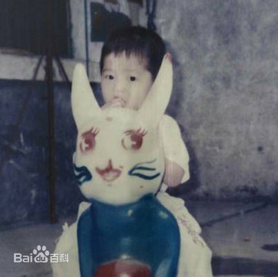 刘昊然-童年照性感图片图集