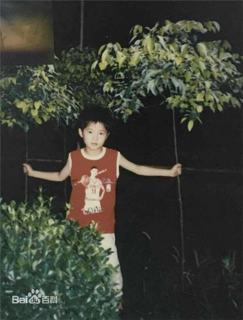 刘昊然-童年照性感图片图集