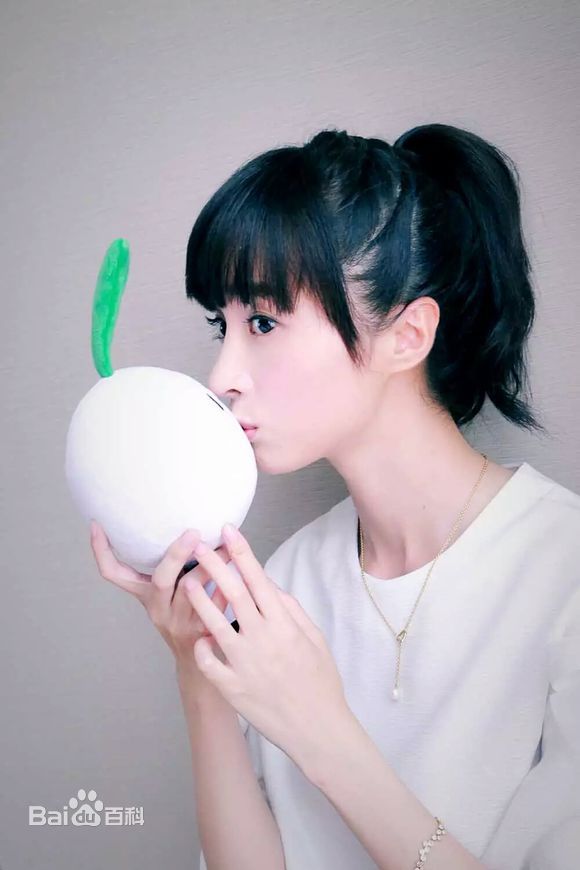 胡冰卿精选2015年图册