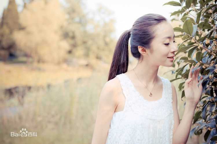 胡冰卿精选2015年图册