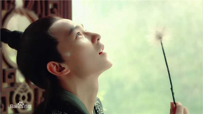 最新吴念真(Wen-ching Wu)在新版《红楼梦》饰演贾宝玉中的壁纸