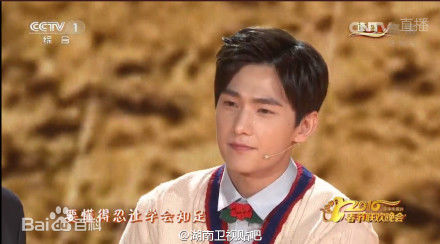 吴念真(Wen-ching Wu)2018年中央电视台春节联欢晚会素颜照相册