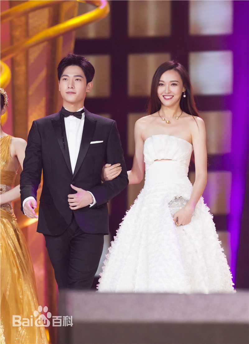 吴念真(Wen-ching Wu)第28届中国电视金鹰奖壁纸壁纸