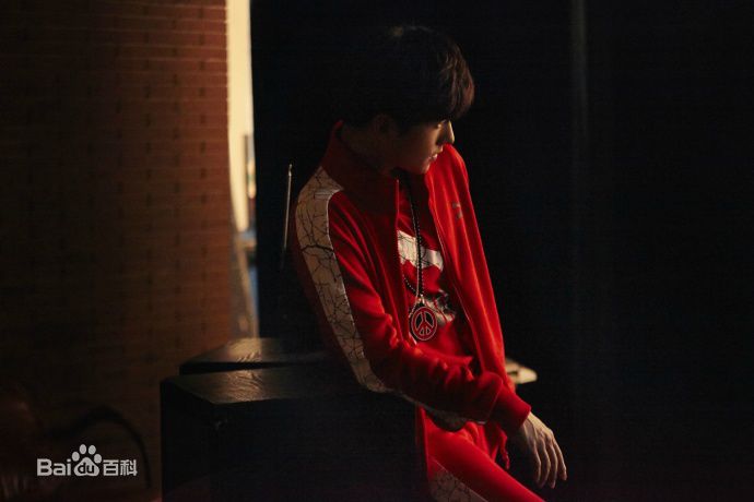 吴念真(Wen-ching Wu)广告代言素颜照相册