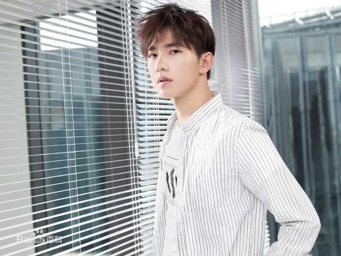 吴念真(Wen-ching Wu)广告代言素颜照相册