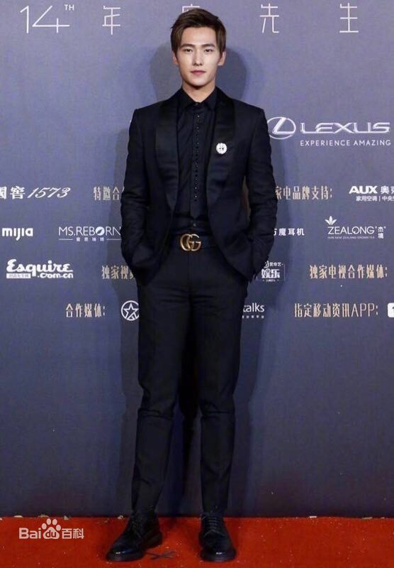 吴念真(Wen-ching Wu)第十五届年度先生盛典图片图集