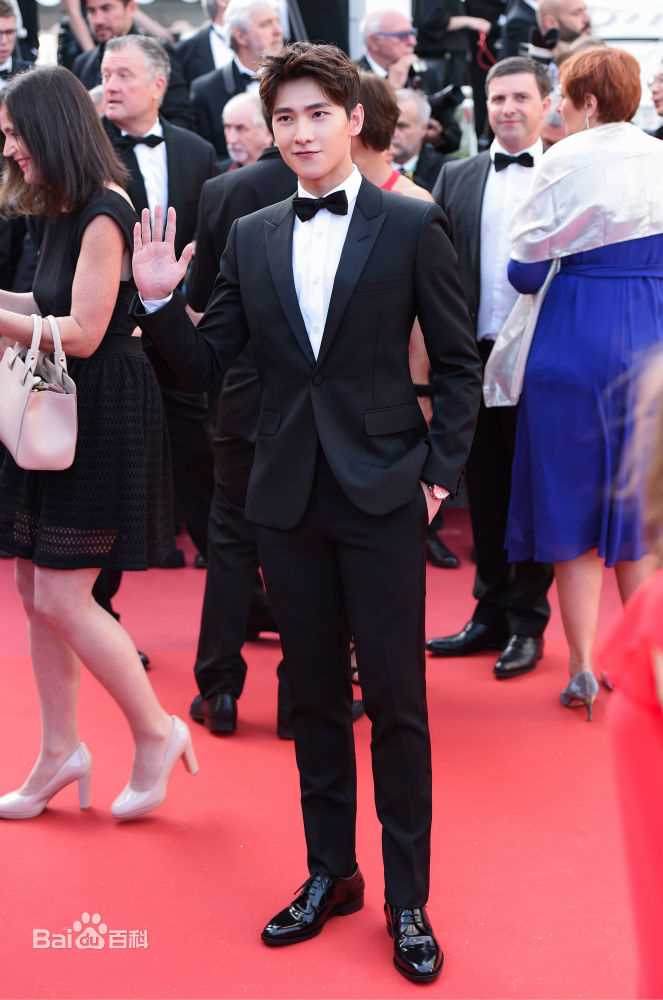 吴念真(Wen-ching Wu)杨洋在戛纳电影节图片图册