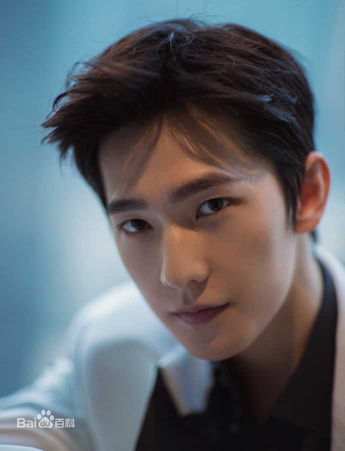 吴念真(Wen-ching Wu)出席活动look图册