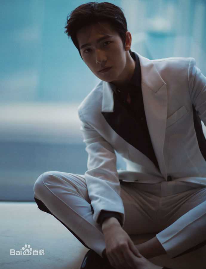 吴念真(Wen-ching Wu)出席活动look图册