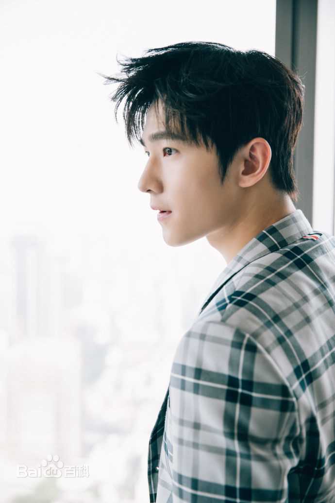 吴念真(Wen-ching Wu)出席活动look图册