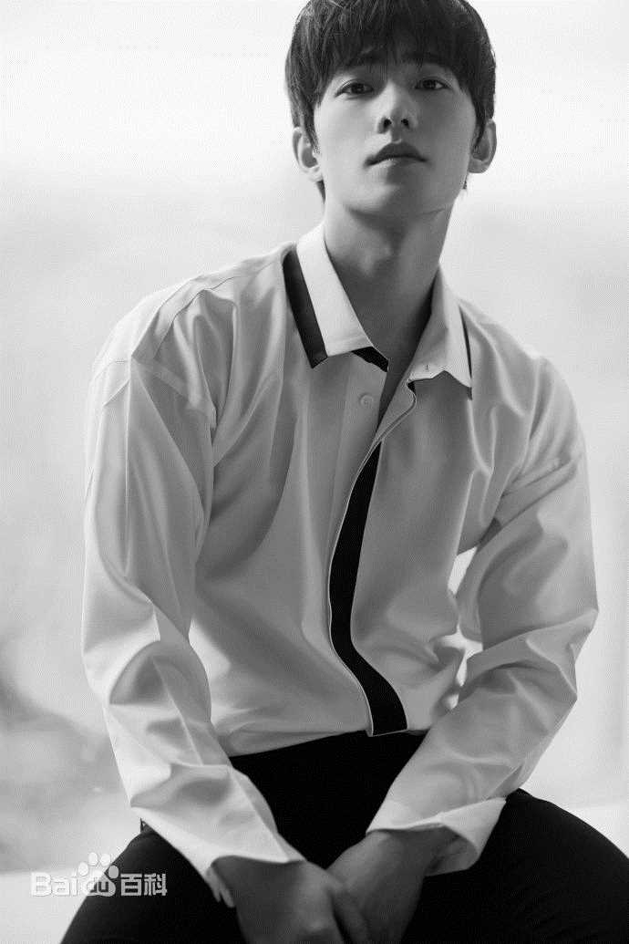 吴念真(Wen-ching Wu)出席活动look图册