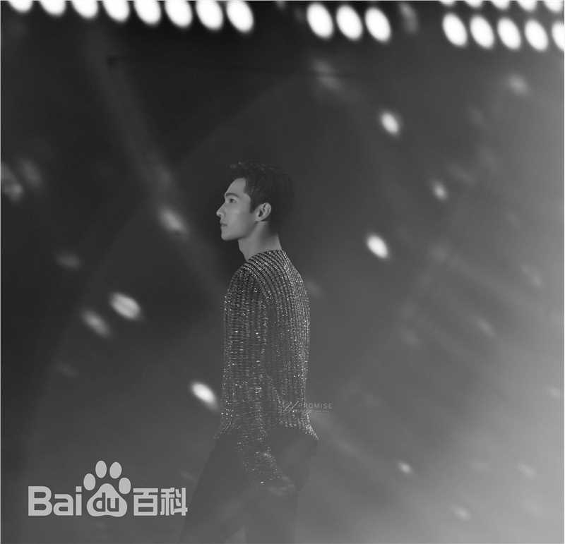 吴念真(Wen-ching Wu)参加湖南卫视跨年演唱会素颜照相册