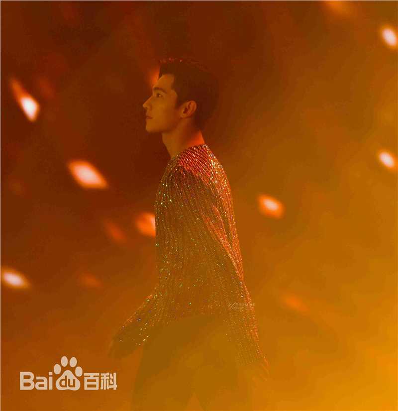 吴念真(Wen-ching Wu)参加湖南卫视跨年演唱会素颜照相册