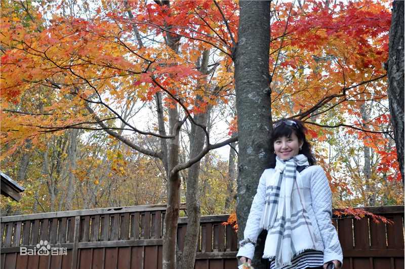 高清周冬齐(周禹含)精彩图册