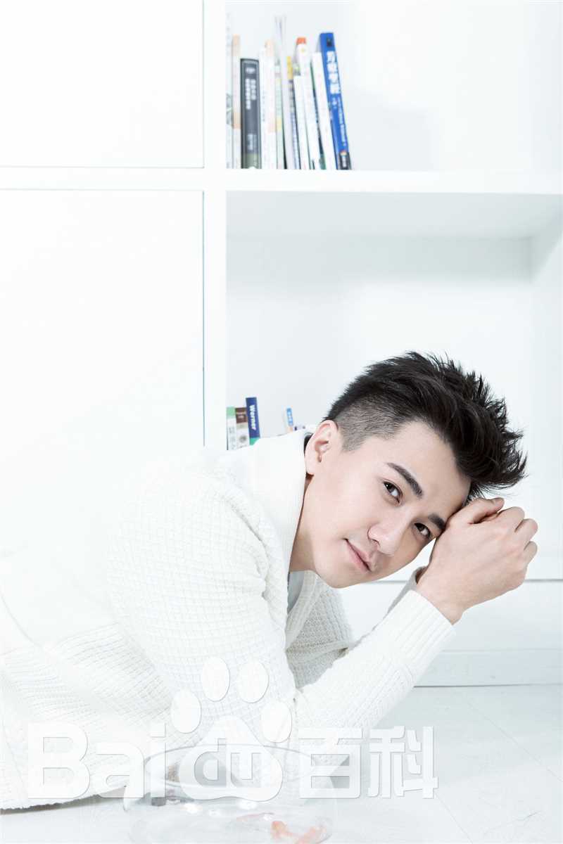 翟天临最新白色壁纸