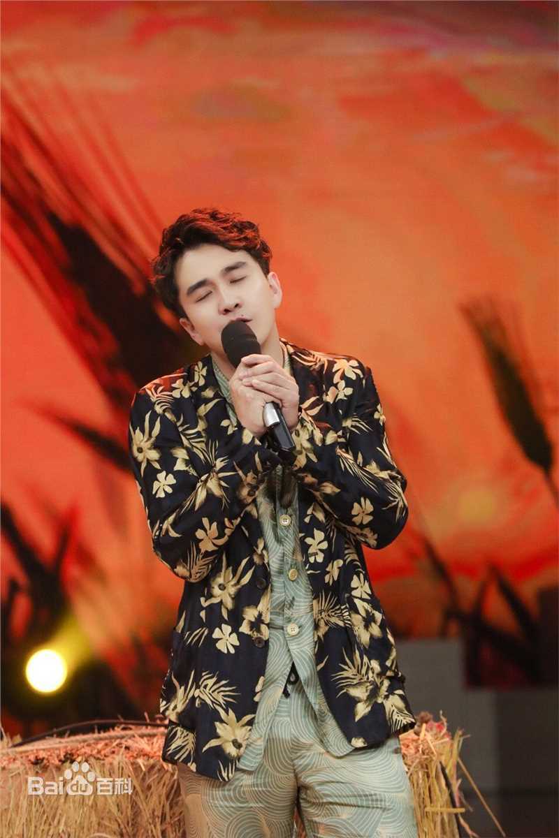 翟天临综艺活动前后照片