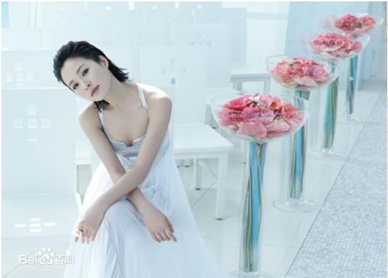 精选李小璐(Jacqueline Lulu Li/Li XiaoLu)精彩图册