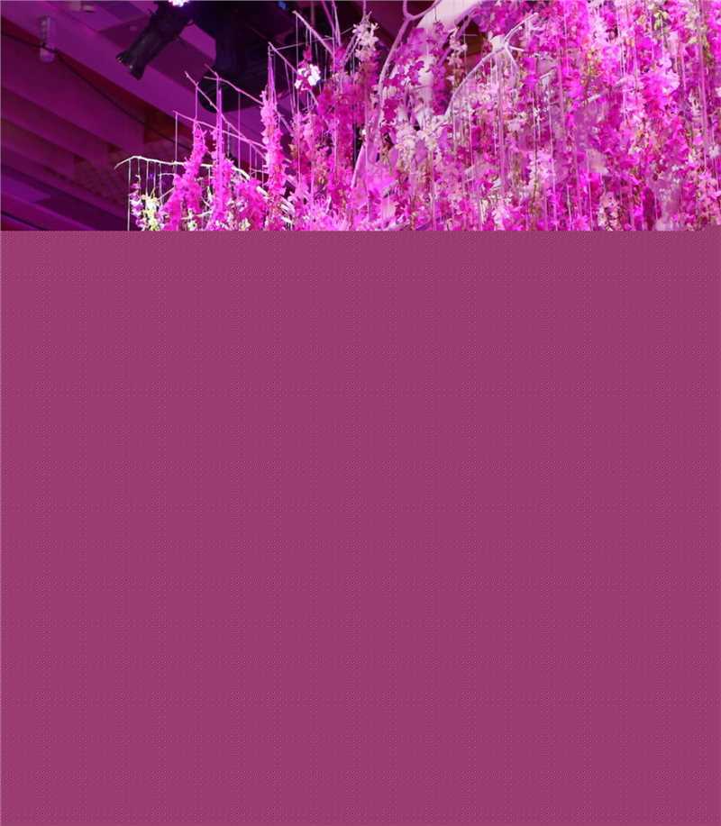 李小璐(Jacqueline Lulu Li/Li XiaoLu)精彩图册