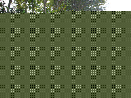 最优质张瑞希(Seo-hee Jang)在《妻子的诱惑》饰具恩才中的相册