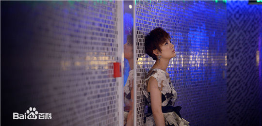 精选孙俪(Sun Li)在《辣妈正传》中的图册