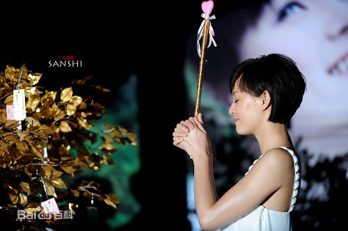 最全孙俪(Sun Li)在《小小的梦想》专辑北京发布会中的相册