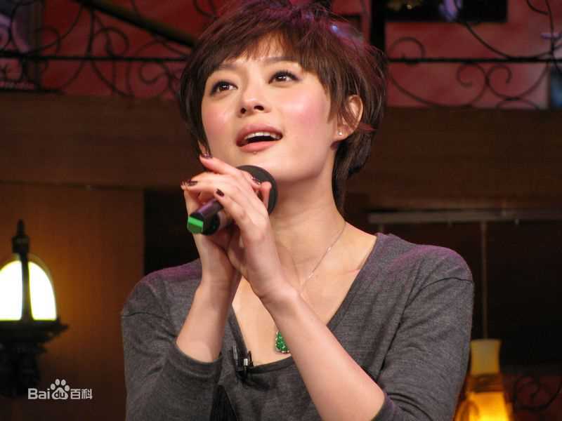 孙俪(Sun Li)2010.3.17 咏乐汇素颜照相册