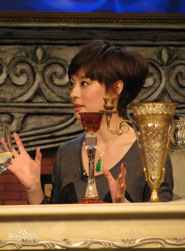 孙俪(Sun Li)2010.3.17 咏乐汇素颜照相册