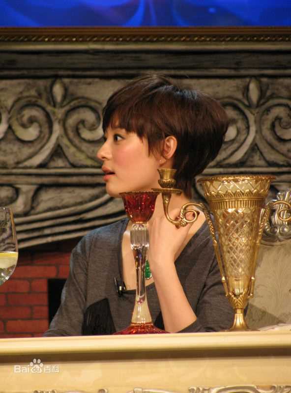 孙俪(Sun Li)2010.3.17 咏乐汇素颜照相册