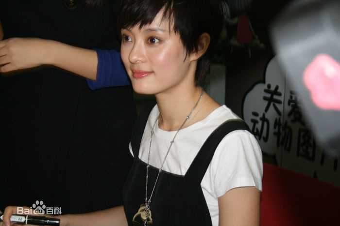 最全孙俪(Sun Li)在《带我回家》签售中的壁纸