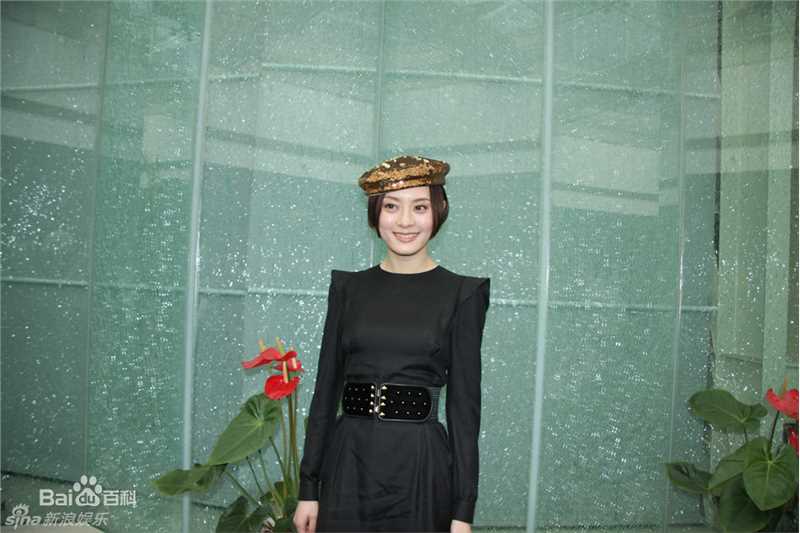 孙俪(Sun Li)精彩图册