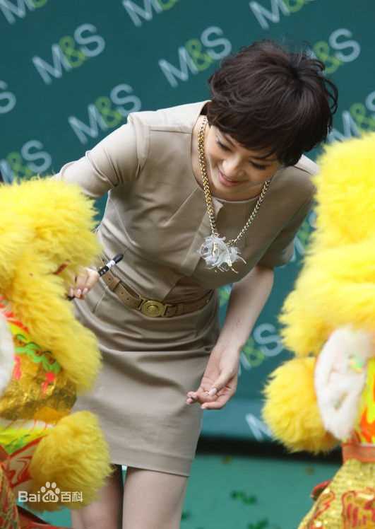 高清孙俪(Sun Li)精彩图册