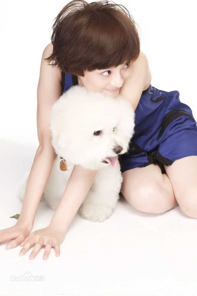 高清孙俪(Sun Li)精彩图册