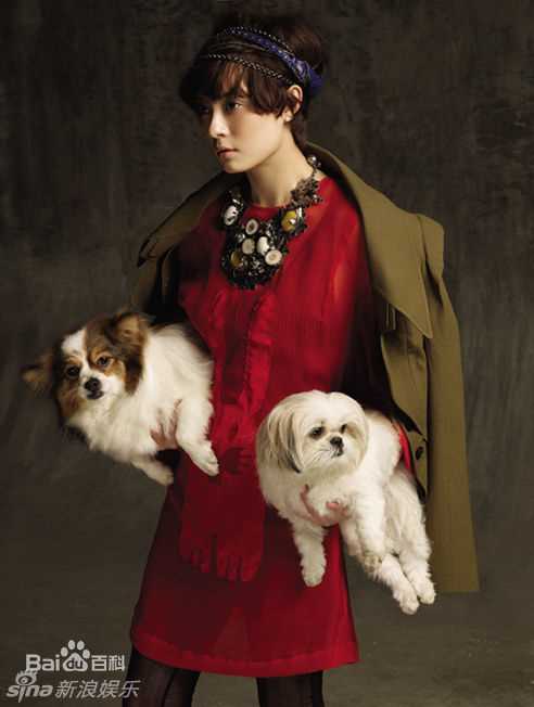 高清孙俪(Sun Li)精彩图册