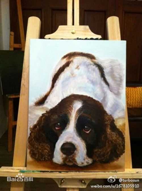 高清孙俪(Sun Li)精彩图册