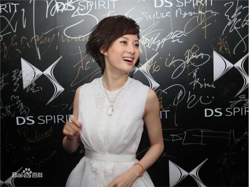 最优质孙俪(Sun Li)精彩图册