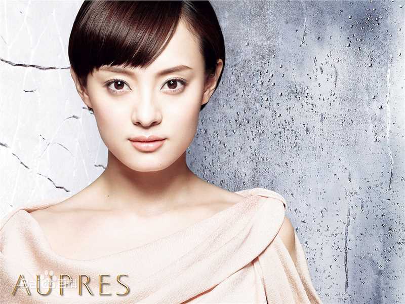 最优质孙俪(Sun Li)精彩图册