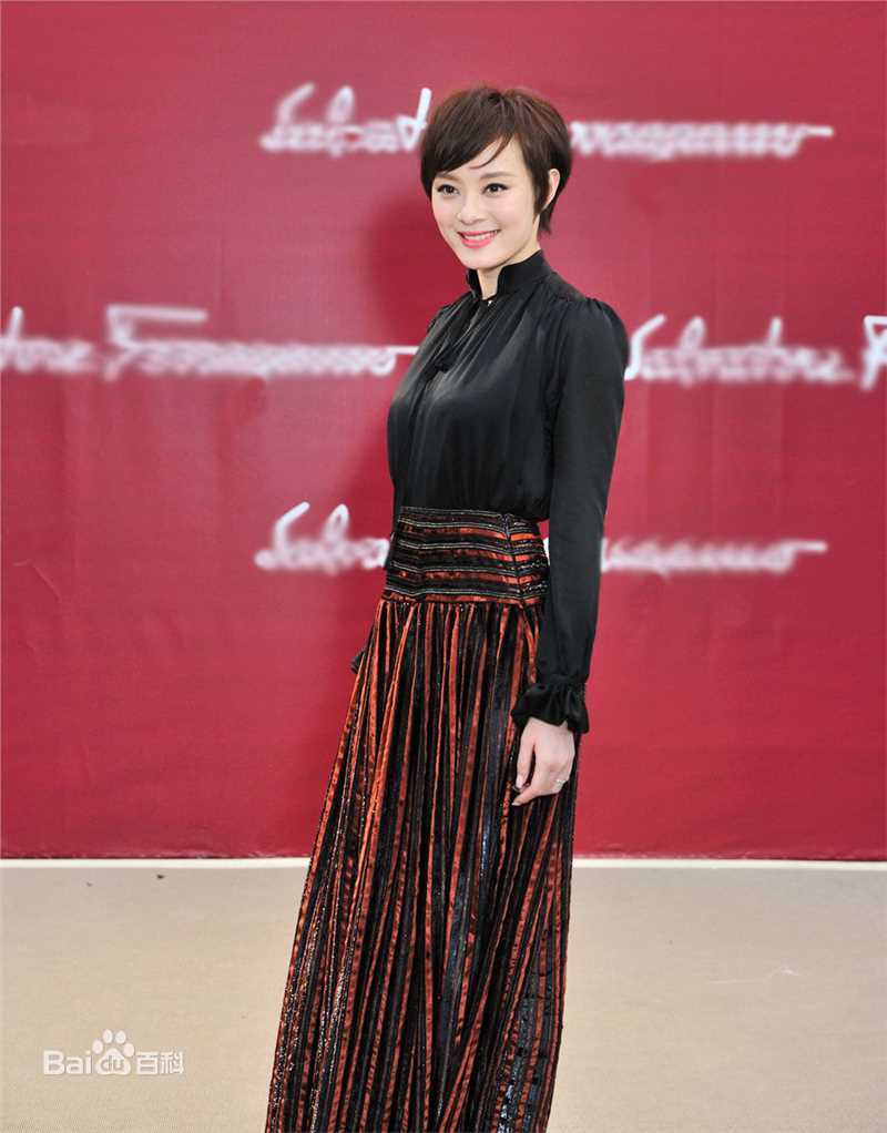 最优质孙俪(Sun Li)精彩图册