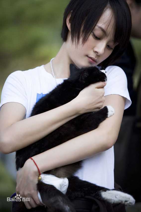 最优质孙俪(Sun Li)精彩图册