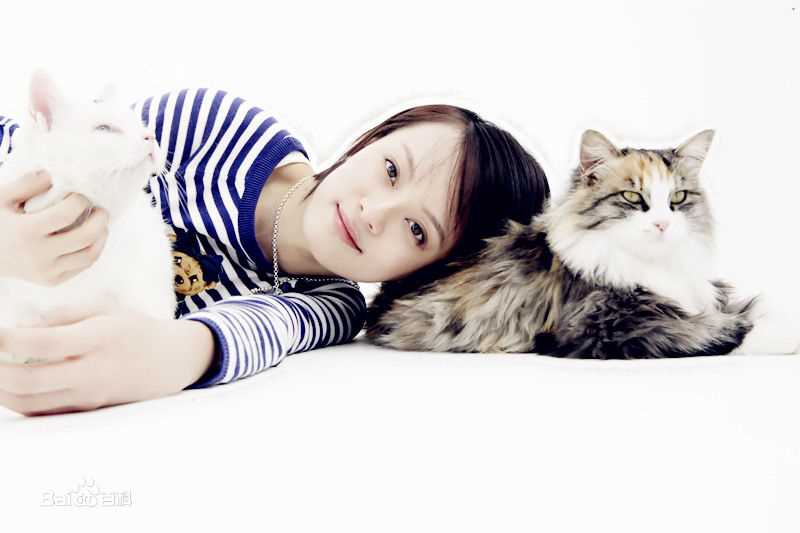 最优质孙俪(Sun Li)精彩图册