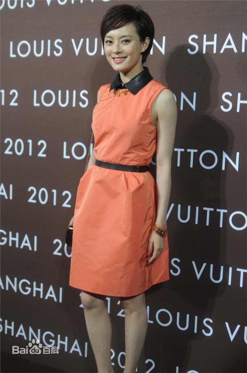 最优质孙俪(Sun Li)精彩图册