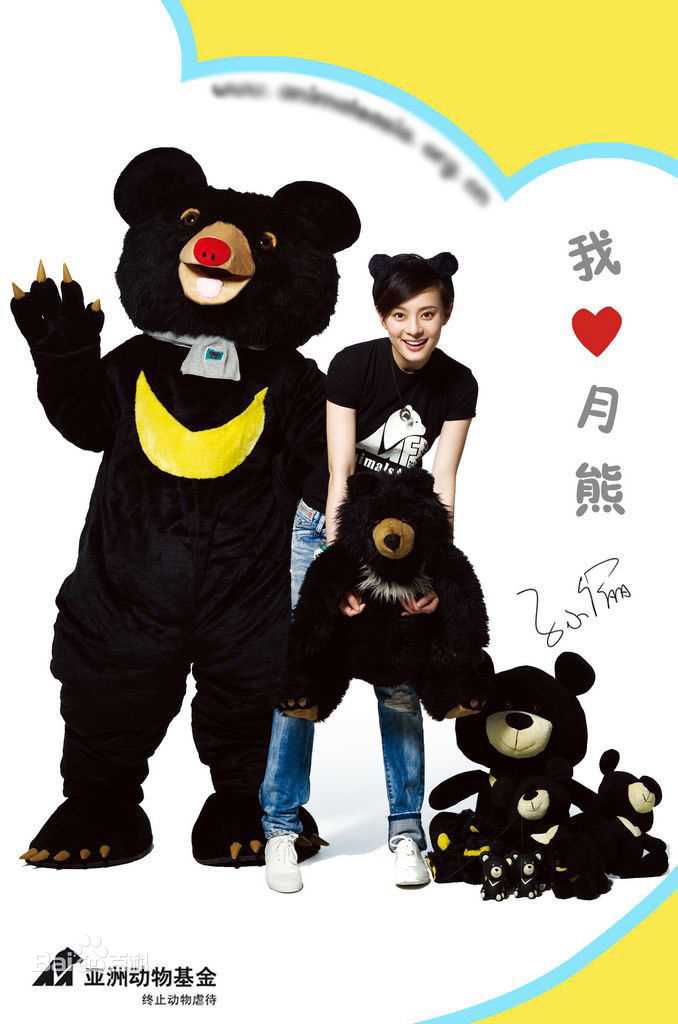 精选孙俪(Sun Li)精彩图册