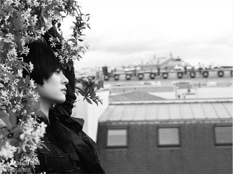 精选孙俪(Sun Li)精彩图册